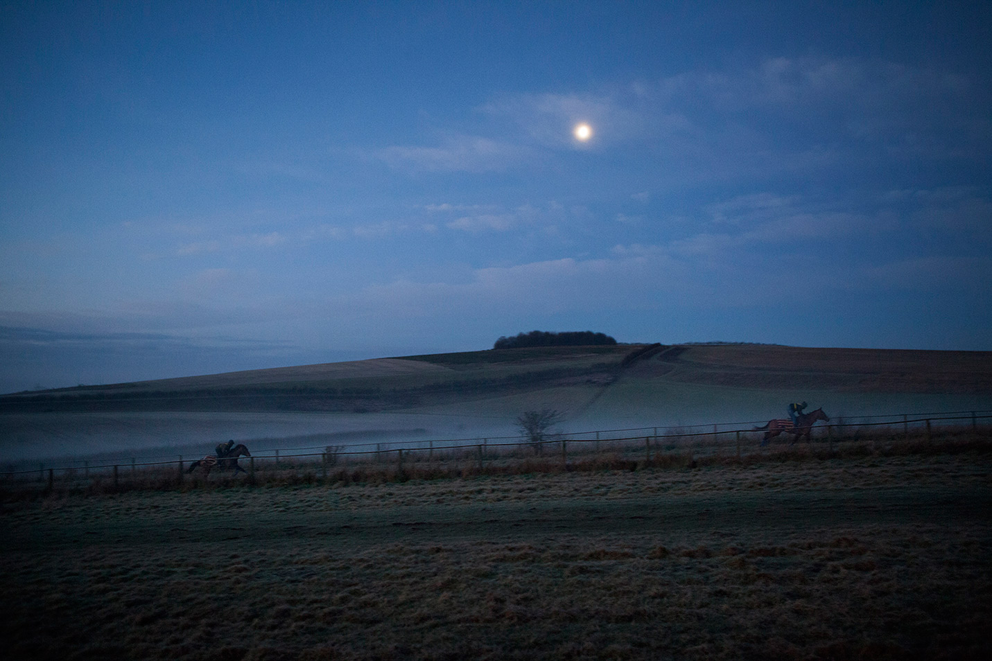 Horses-on-the-gallop-under-moonlight
