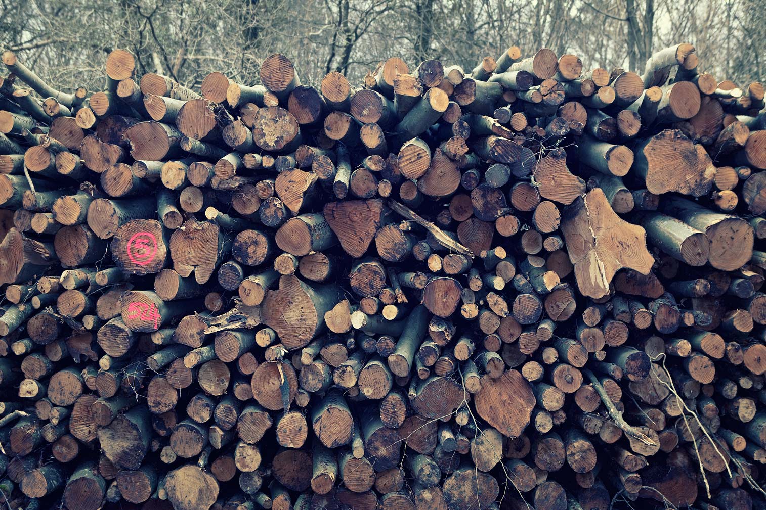 Logs-in-a-pile