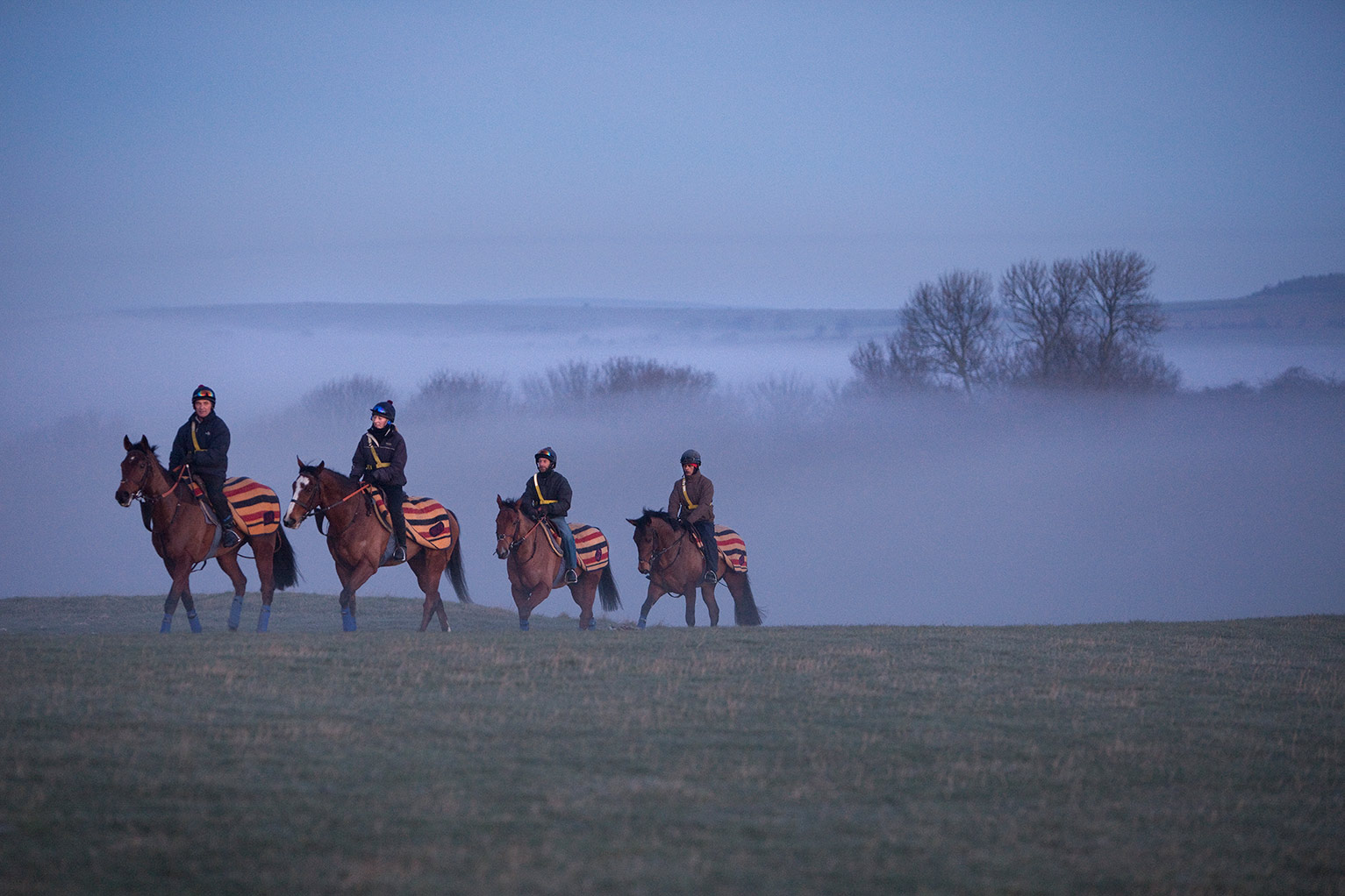 Misty-ride-back-from-the-gallops